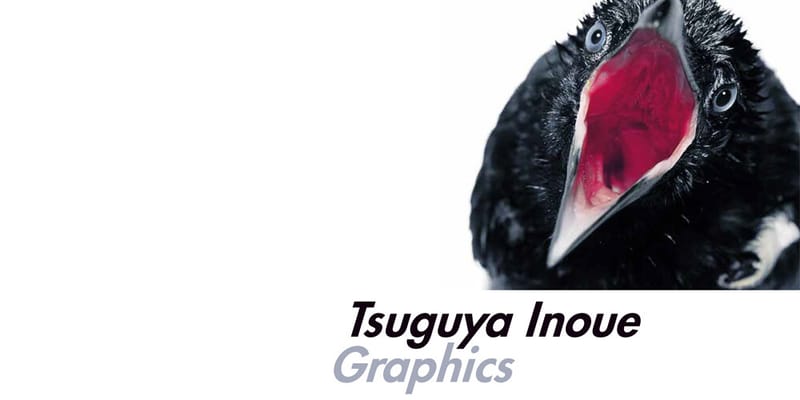 INOUE TSUGUYA GRAPHIC WORKS 1981-2007 | リトルモア