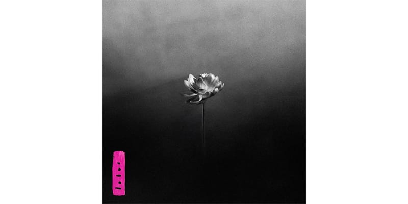非売品Little Simz Lotusスリップマット リトル・シムズ レコード Little Simz - Lotus | Rough Trade - (2LP - Midnight Bloom