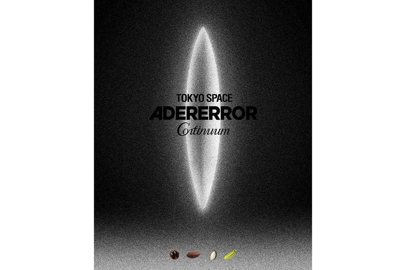 正規品・送料込み◆ADERERROR◆Og; 9th 2231 ☆【Ader Error x Zara】☆Graphic Long Sleeve T-Shir.t