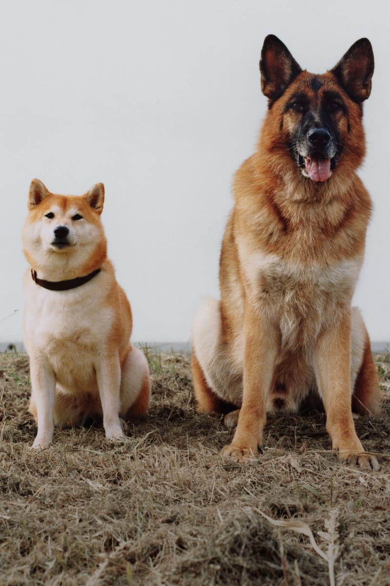 ナナミカがア カインド オブ ガイズとのコラボレーションを発表