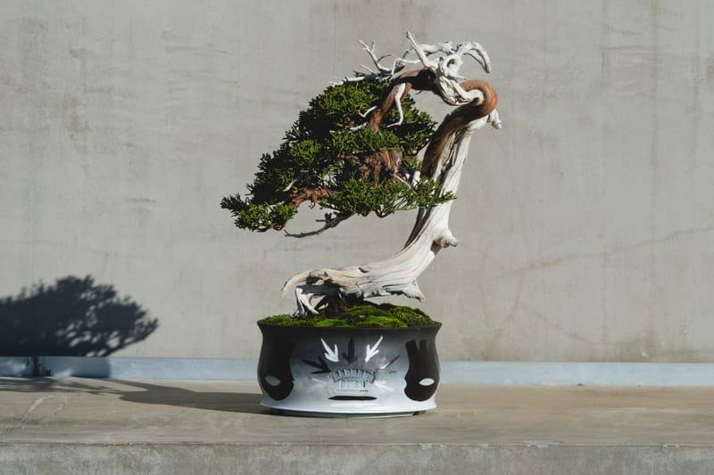 エリック・ヘイズxトラッドマン・ボンサイがコラボレーション展を開催