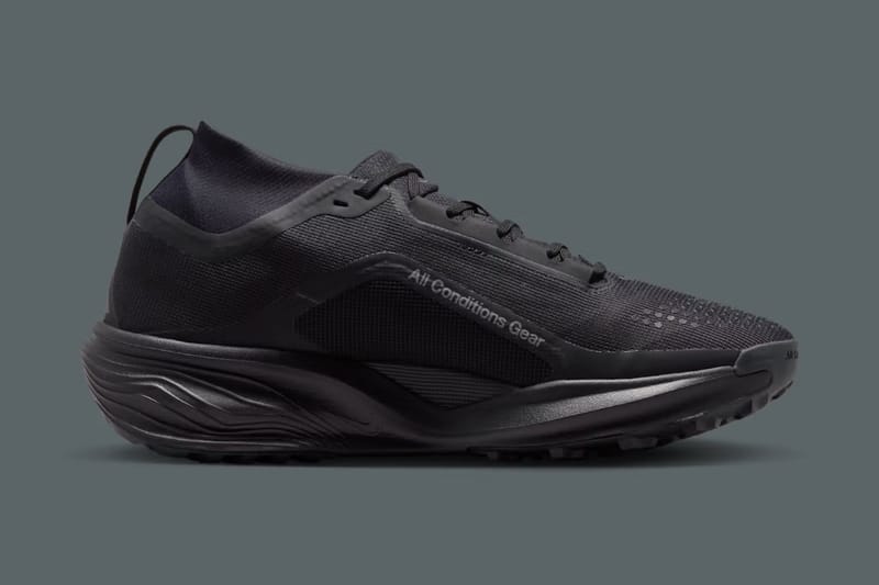 ナイキ ACG ペガサス トレイルがゴアテックス仕様へアップデート