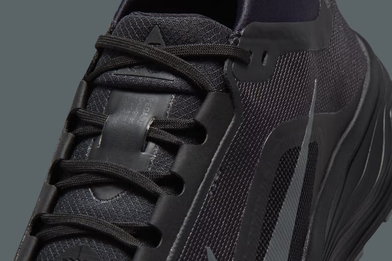 ナイキ ACG ペガサス トレイルがゴアテックス仕様へアップデート