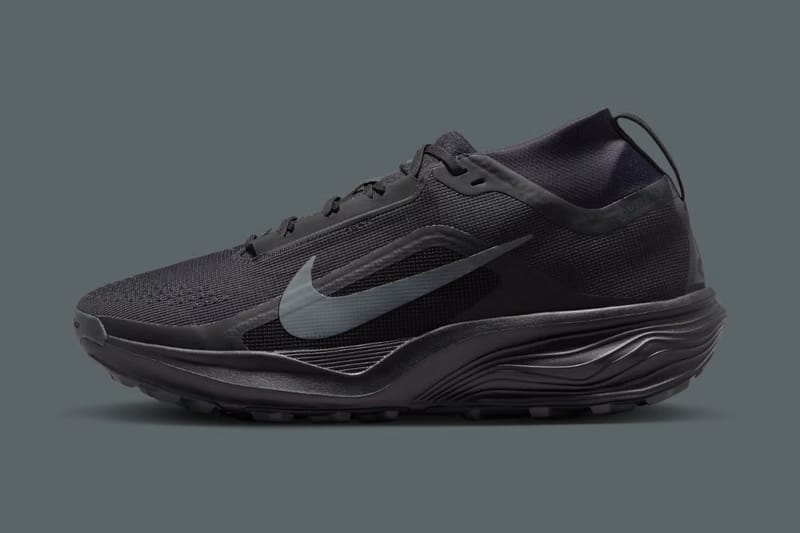 Nike ACG の GORE-TEX 仕様のトレイルランニングシューズ ACG ゼガマに