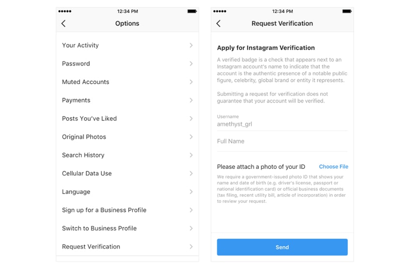 Picture of Free Instagram Followers - 100% Safe, No Password Required - BoostGrams