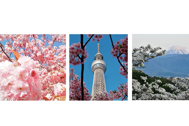 Japan Color Impression 除 Pantone 之外,你要知道的色庫還有「 日本傳統色」,因為無論顏色和名字都極美 - POPBEE