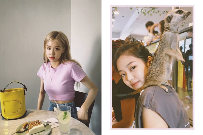 想跟 BLACKPINK Jennie、Rose 一樣跟狐獴近距離接觸？可以到這裏！