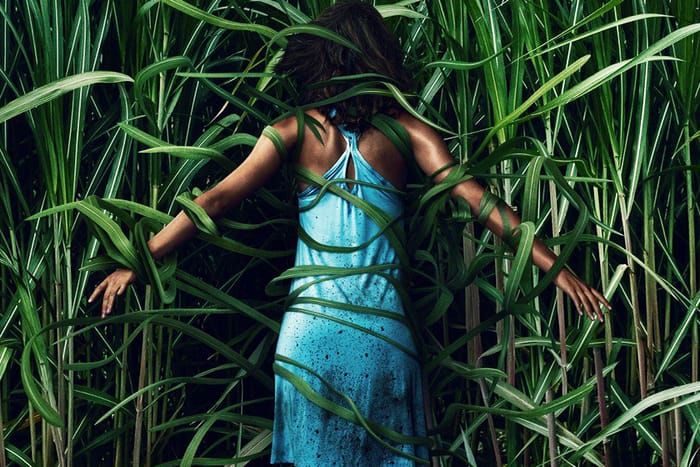 教你不要當好人！Netflix 為大家帶來改編自 Stephen King 小說的驚悚電影《In the Tall Grass》
