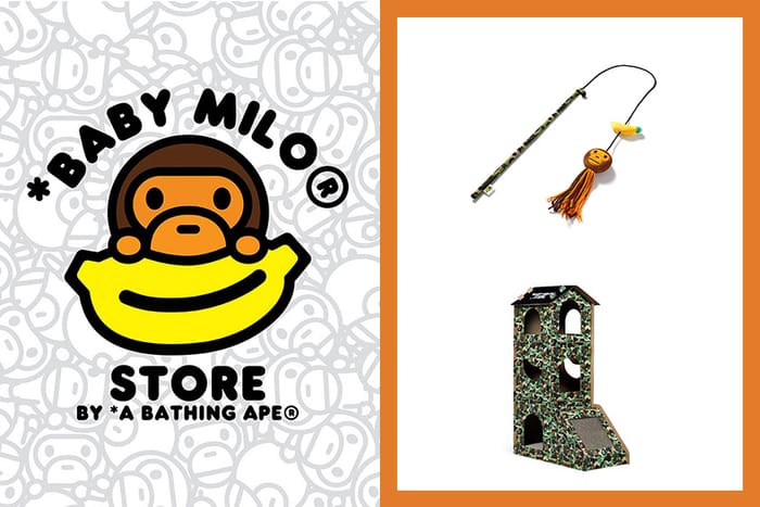 A BATHING APE 推出全新貓咪配件系列，是時候該為毛小孩添購新衣了！