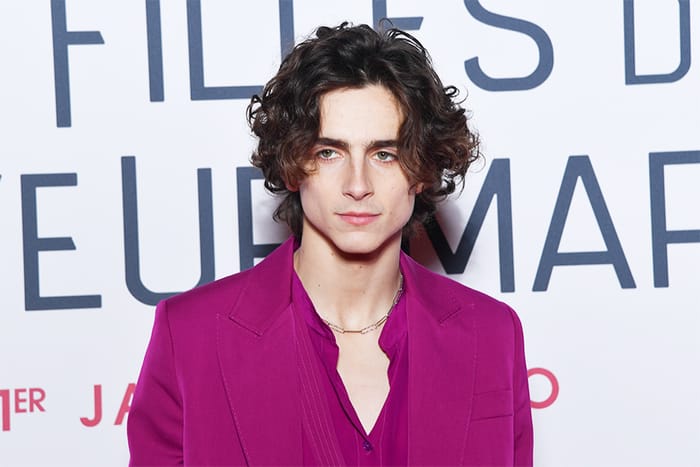 以憂鬱氣質取勝，Timothée Chalamet 有望接下這個音樂才子的角色！