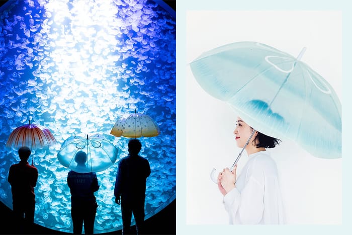 下雨天也不再討厭！Felissimo 推出通透感水母傘，走在傘下也太夢幻