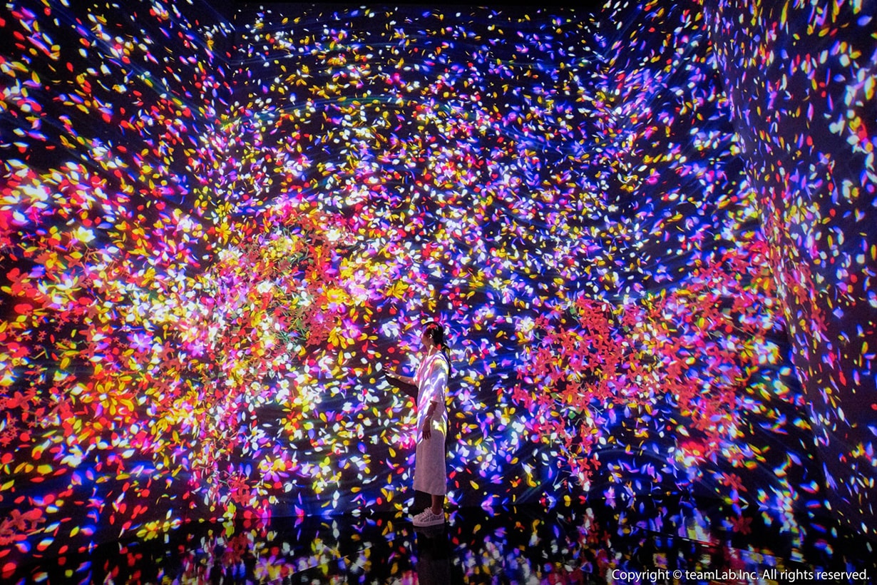 10 月登陸台灣!不用到日本也能享受 teamLab 互動藝術展 - POPBEE