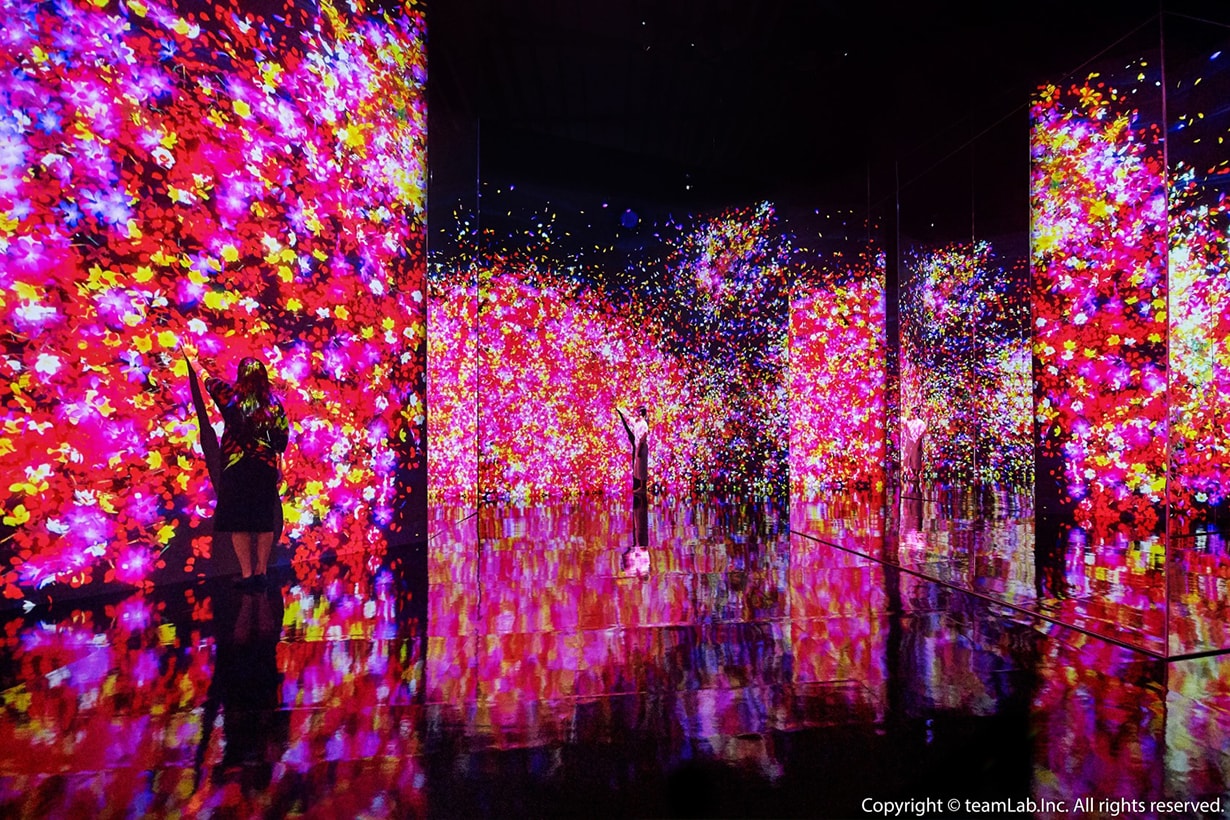 10 月登陸台灣!不用到日本也能享受 teamLab 互動藝術展 - POPBEE