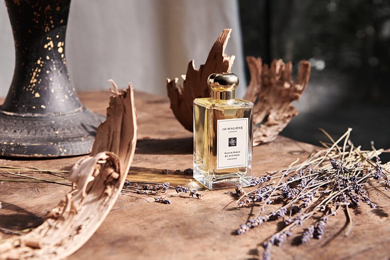 英倫的薰衣草氣息：Jo Malone London 重新帶回人氣的「白樺木與薰衣草