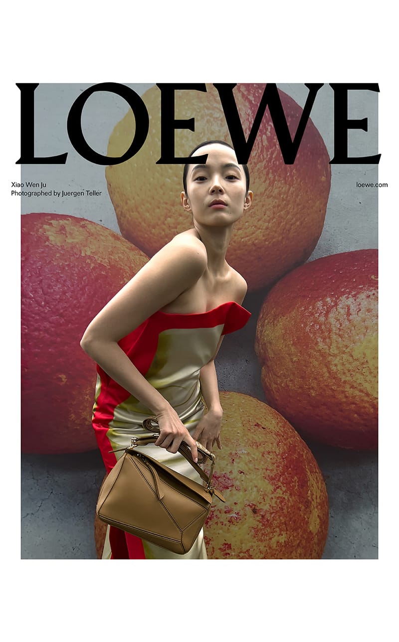 Loewe discount