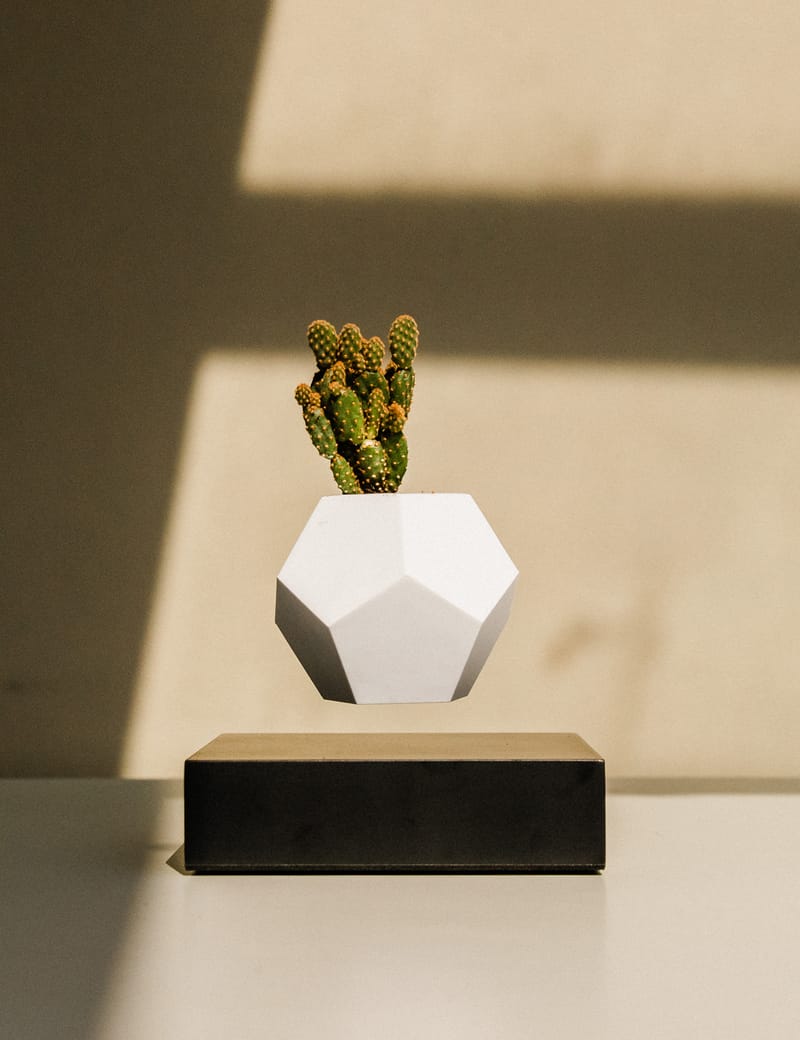 Flyte - Lyfe Planter – Black | HBX - Globally Curated Fashion and