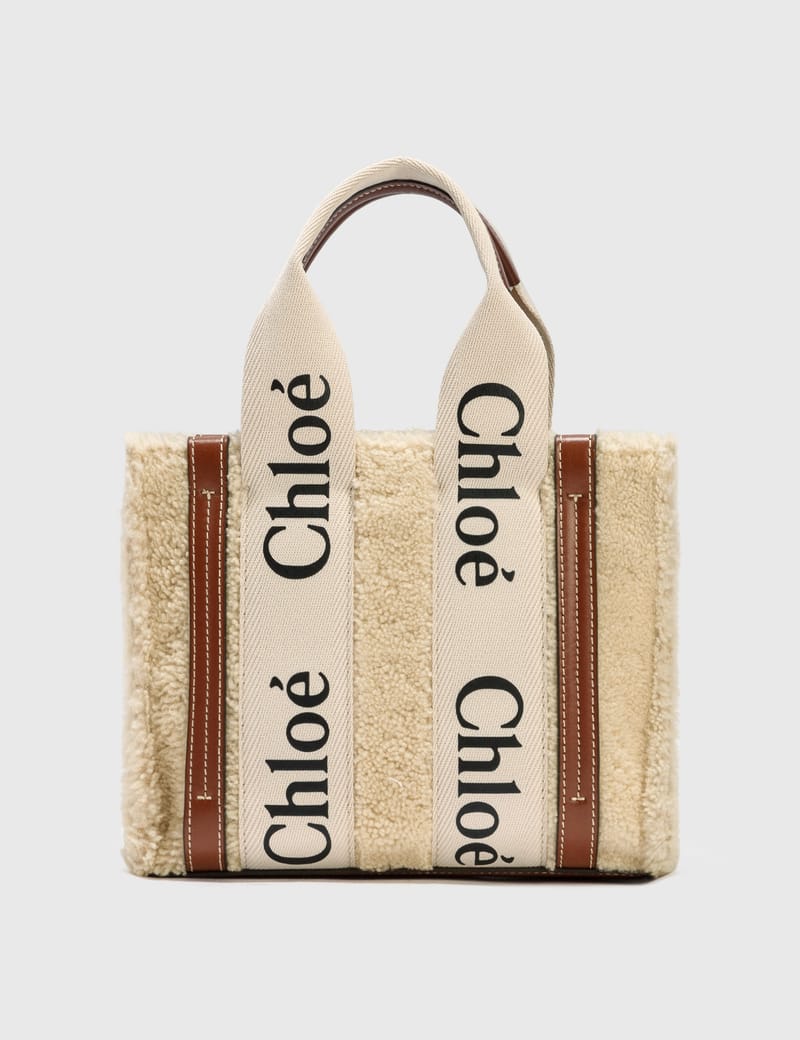 ショルダーバッグ・ポシェット CHLOE WOODY BAG WITH SHOULDER STRAP Chloé Mini Woody Tote Bag In Linen in Blushy beige | Chloé US