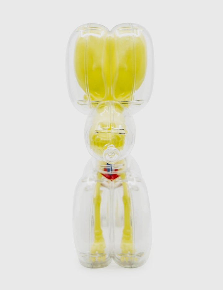 4D Master® Glow In The Dark Balloon Dog Anatomy HBX Globally