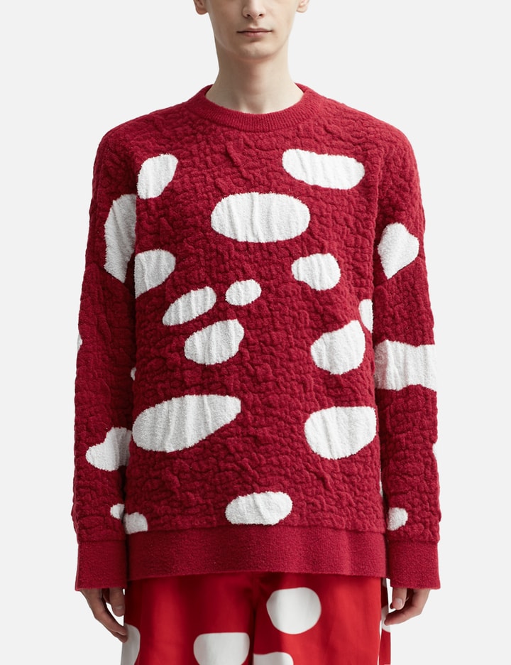 Loewe - Mushroom Sweater | HBX - Globally Curated Fashion and Lifestyle ...
