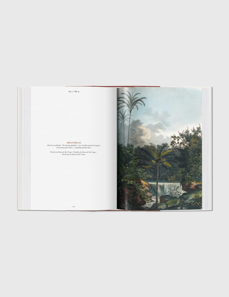 Taschen - Martius. The Book of Palms | HBX - ハイプビースト