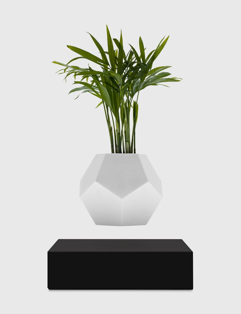 Flyte - Lyfe Planter – Black | HBX - Globally Curated Fashion and