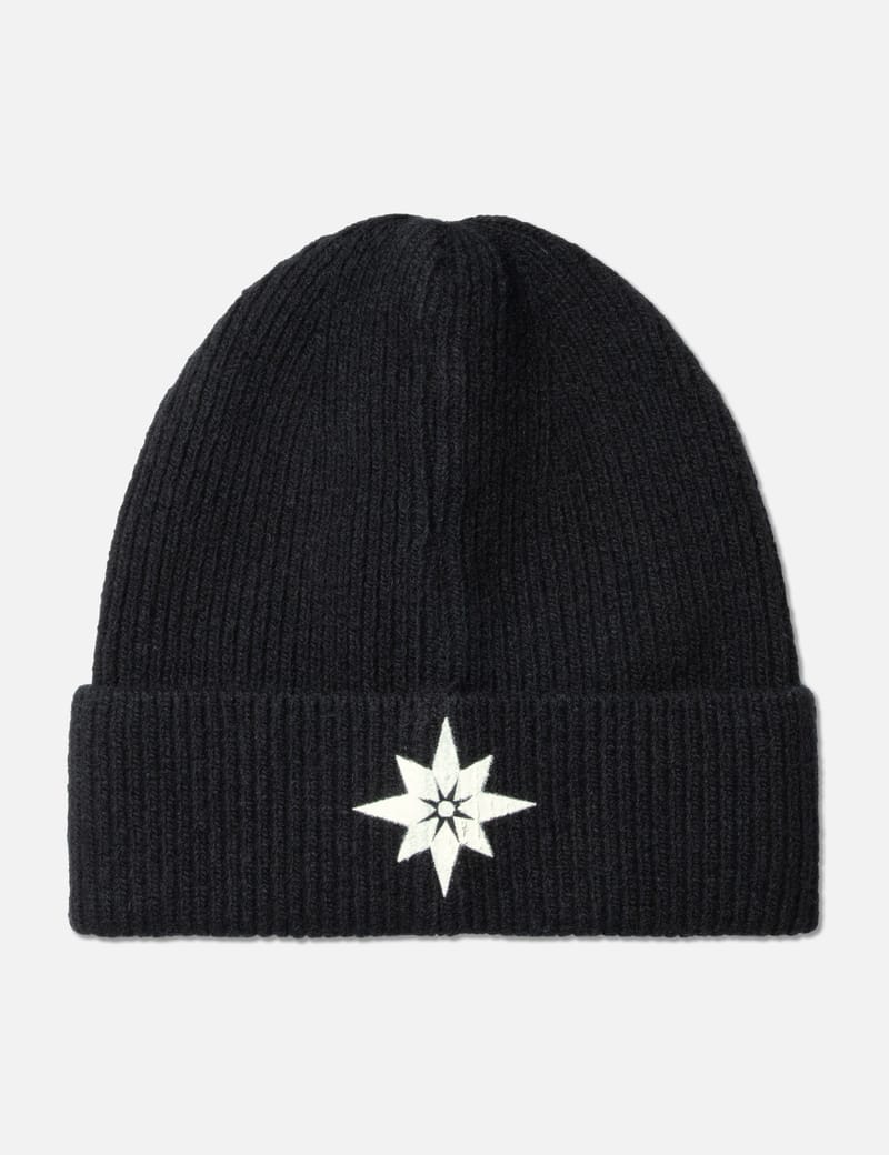 Beanie-1-1-b8a18.jpg?fit=max&w