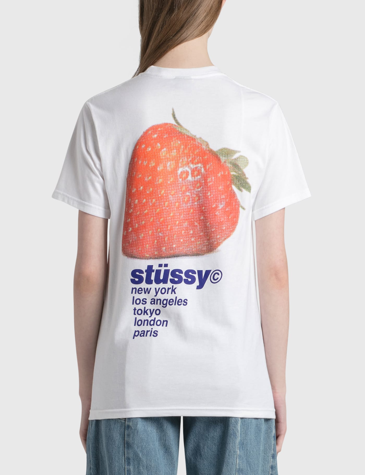 STUSSY strawberry ストロベリー　Tシャツ