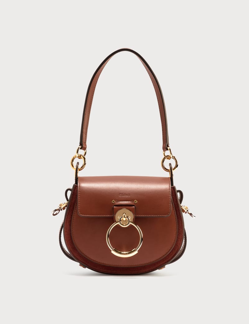 Chloe TESS ゼブラバッグ Chloe Tess Multicolor Raffia Saddle Crossbody Bag - Bergdorf Goodman