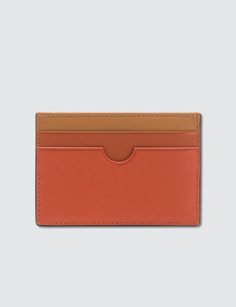 Loewe - Rainbow Plain Card Holder | HBX - Globally Curated Fashion 