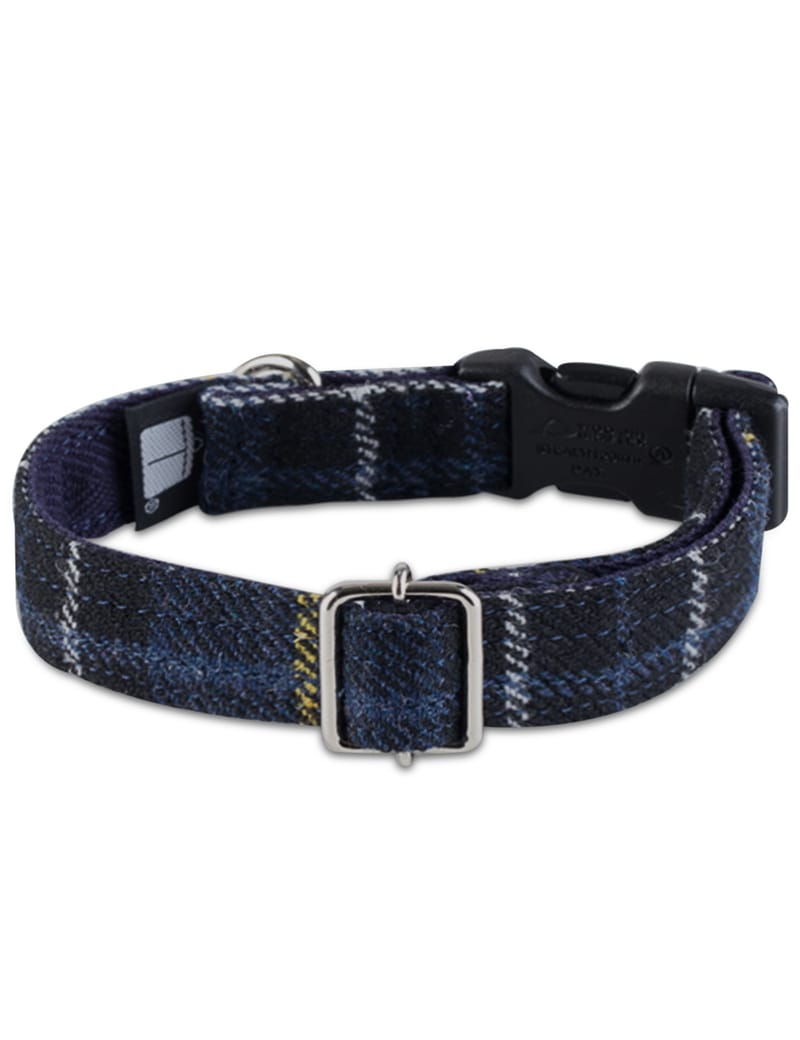 Hypebeast best sale dog collar