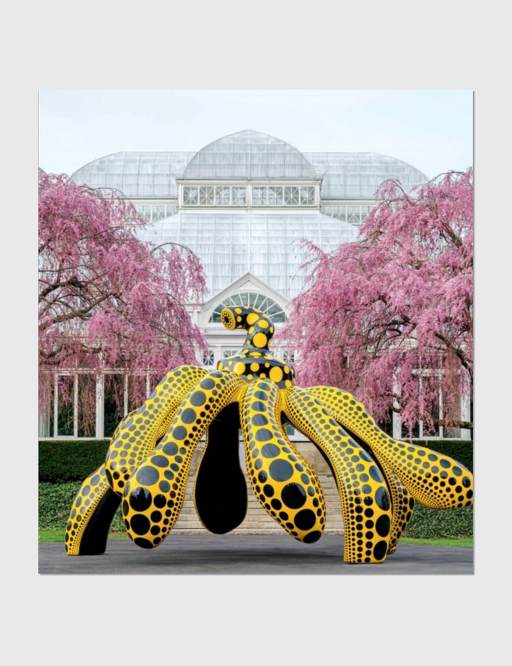 Rizzoli - Kusama: Cosmic Nature | HBX - Globally Curated Fashion and ...