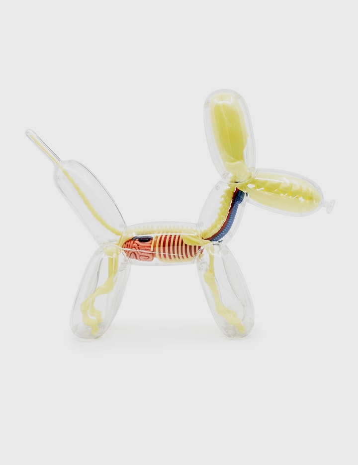 4D Master® Glow In The Dark Balloon Dog Anatomy HBX Globally